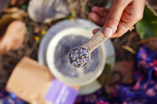 Shade dried Kashmir Lavender